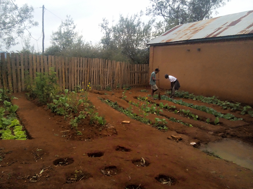 Terrains agricoles en terrasses cultivés par le centre