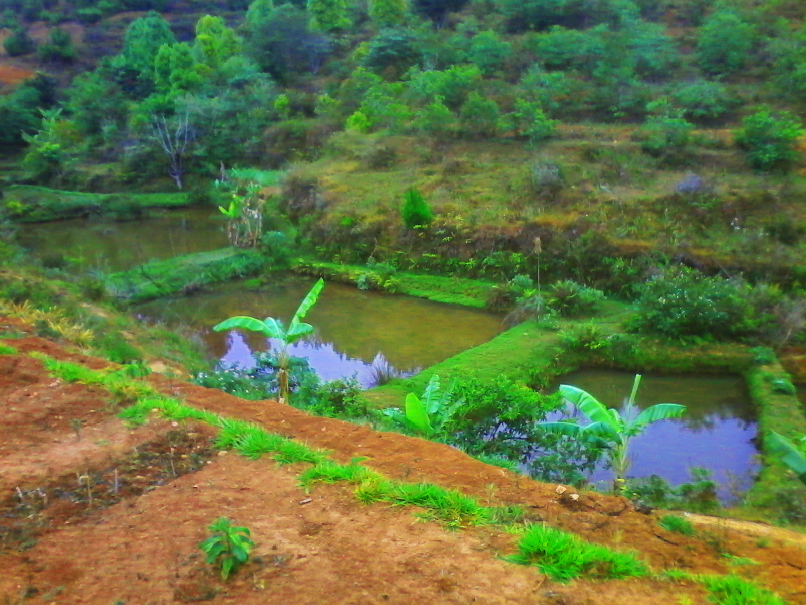 Rizières et bassins du centre